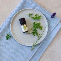 Hautstreichler Kraftkonzentrat