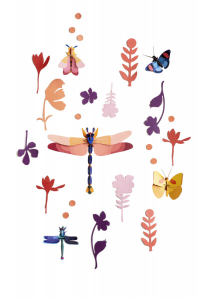 Big wall of curiosities - insect connoisseur