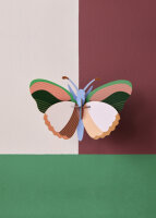 Medium Insects - sycamore butterfly