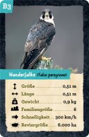 Quartett heimischer Tiere