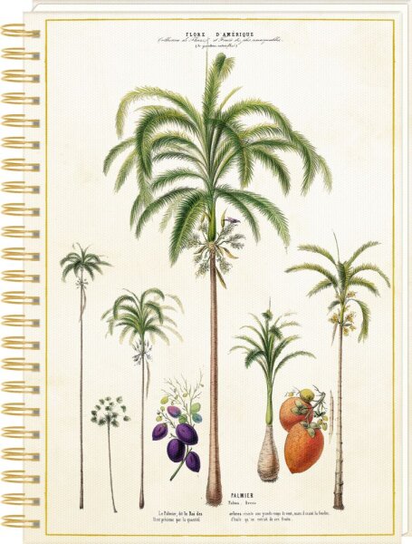 Ringbuch DIN A4 - Sammlung Augustina