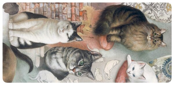 Bomo Postkarten Set Rosen