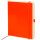 Notizbuch Le Professionnel large orange