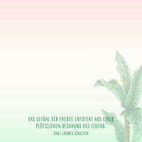 Zettelkästchen – Einfach schön notiert