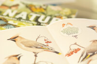 Buch Natur: Entdecken – Verstehen – Mitmachen