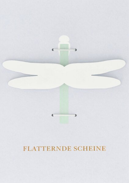 Klappkarte – Geldgeschenkkarte - Flatternde Scheine