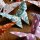Origami "cloud of butterflies kit"